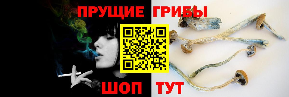 Псилоцибиновые грибы Cubensis  Вход с VPN  Усть-Джегута 